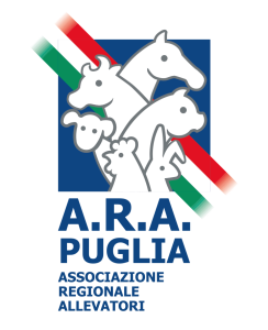 arapuglia